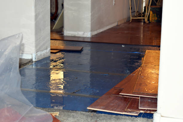 Professional Sewage Cleanup technician working in Leesville, TX